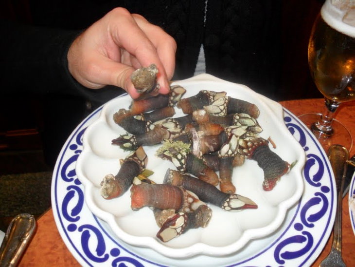 Strange, weird, odd and unusual foods, recipes and ingredients from different countries around the world, Percebes, also known as goose or gooseneck barnacles, a rare delicacy in Portugal and Spain made from barnacles scraped off of cliffs, that can be extremely dangerous to obtain 