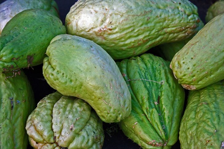 Chayote Perennial Vegetables