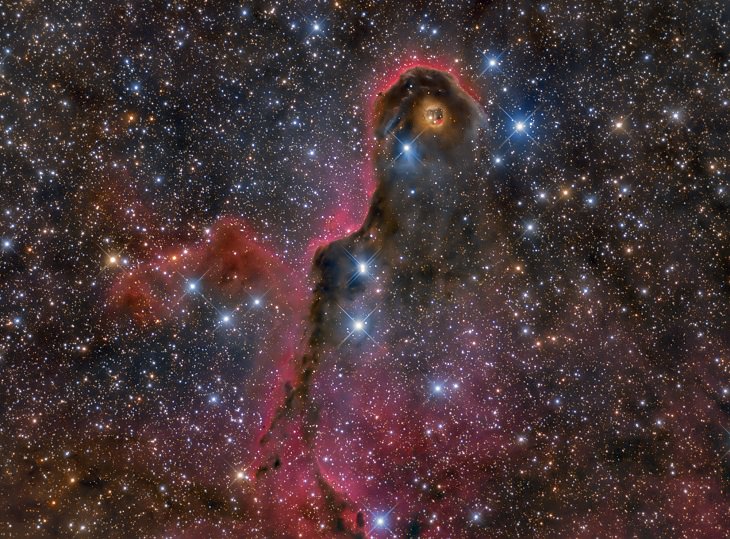 Photographs awarded Winner, Runner Up and Highly Commended in the Insight Investment Astronomy Photographer of the Year Competition 2019 organized by the Royal Observatory Greenwich, Highly Commended, Category Stars and Nebulae, The Elegant Elephant's Trunk, by Lluís Romero Ventura