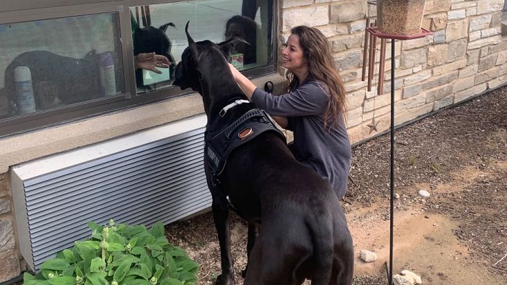 Therapy dog cheers up senior center residents 