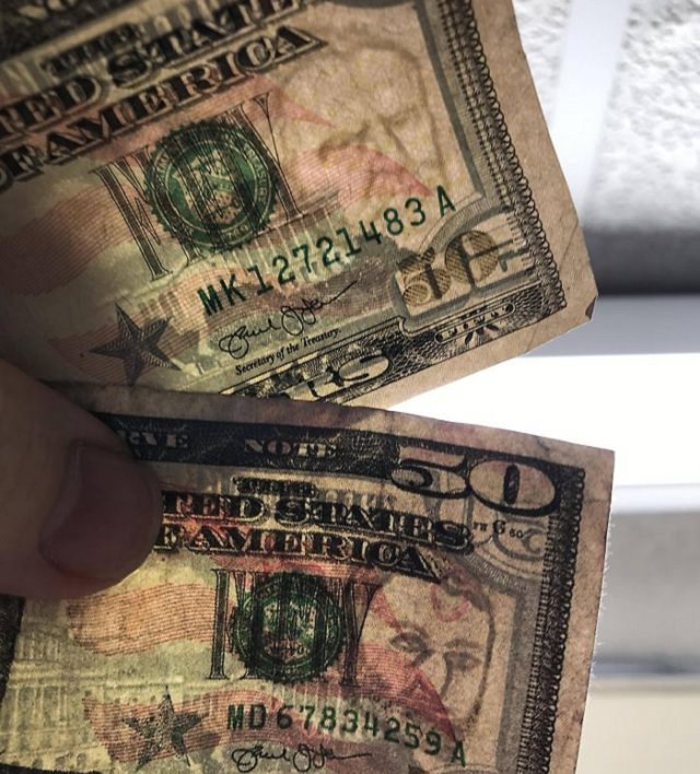 Photographs that show comparisons of things and occurrences in nature, The face hidden in a real $50 bill (top) next to one in a counterfeit $50 bill (bottom)