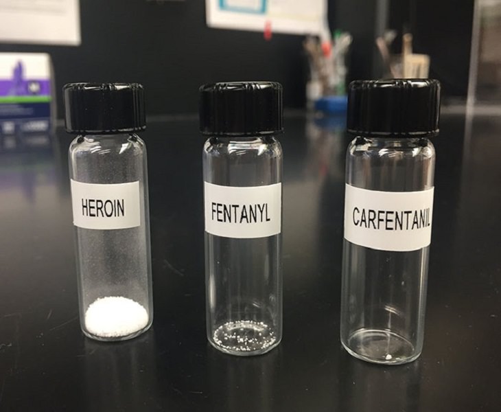 Photographs that show comparisons of things and occurrences in nature, Vials containing the lethal doses of these three significant chemicals, Heroin, Fentanyl and Carfentanil from left to right