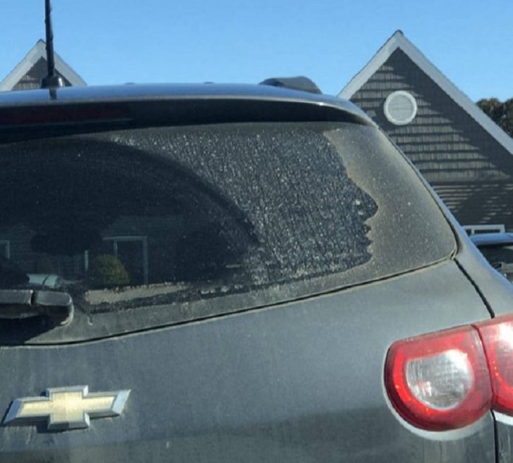 Photographs and pictures of interesting natural phenomenon or well-timed moments that will make you look twice, a face in the dust on a car windshield