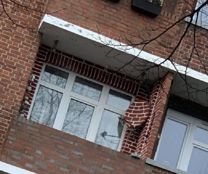 Photographs and pictures of interesting natural phenomenon or well-timed moments that will make you look twice, satellite dish on brick balcony with brick pattern