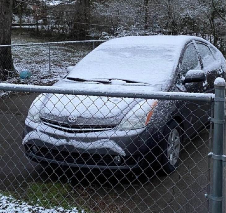 Photographs and pictures of interesting natural phenomenon or well-timed moments that will make you look twice, snow covered car with a snow mustache