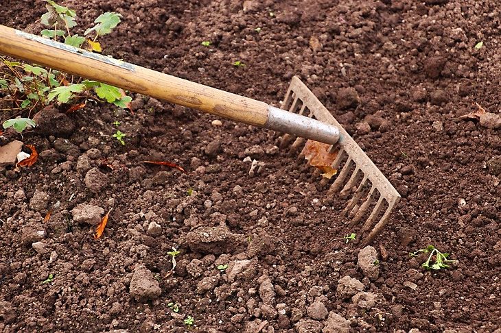 Prepare the soil Gardening Tips for Spring