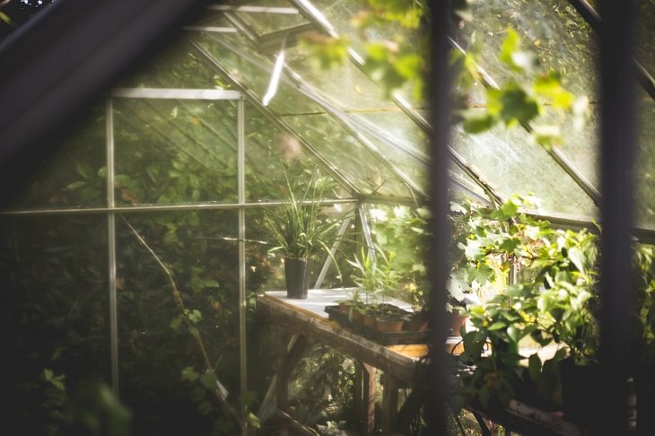 Clean out and wash your greenhouse Gardening Tips for Spring