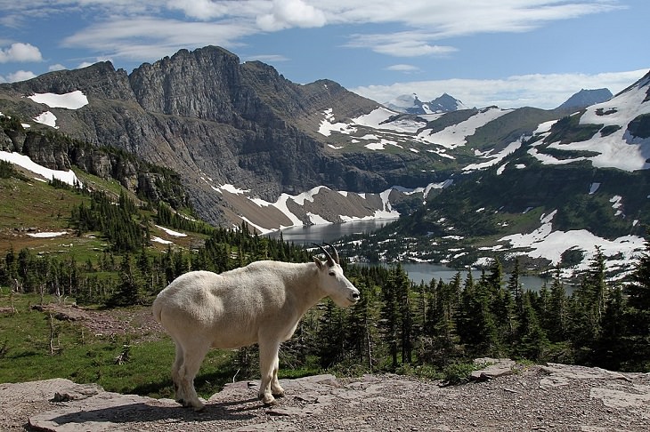 UNESCO World Network of Biosphere Reserves and their tourist attractions and activities from across the United States, America, US, Glacier National Park, Montana