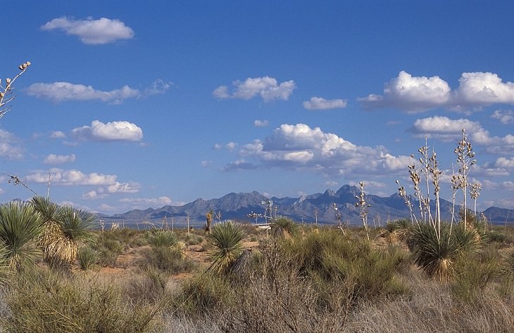 UNESCO World Network of Biosphere Reserves and their tourist attractions and activities from across the United States, America, US, Jornada Biosphere Reserve, New Mexico