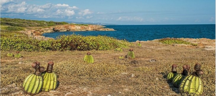 UNESCO World Network of Biosphere Reserves and their tourist attractions and activities from across the United States, America, US, Guánica State Forest, Puerto Rico