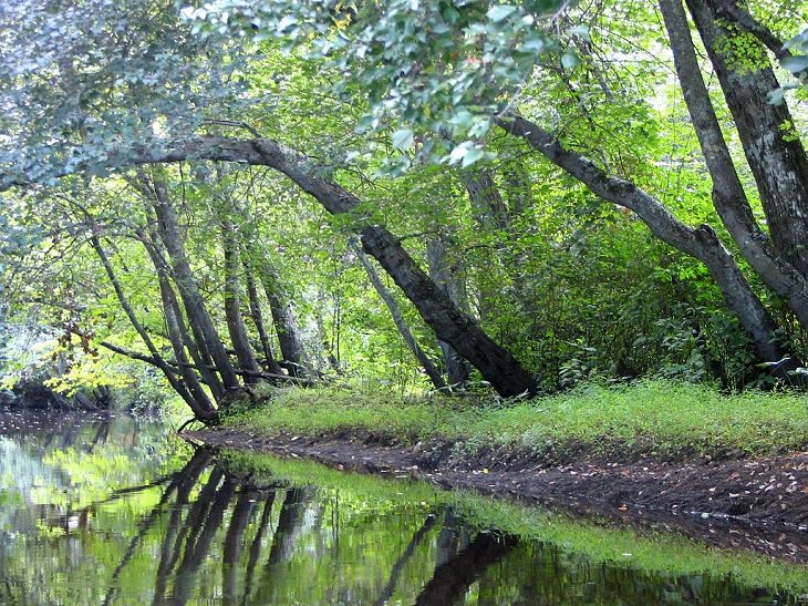 UNESCO World Network of Biosphere Reserves and their tourist attractions and activities from across the United States, America, US, Pinelands National Reserve, New Jersey