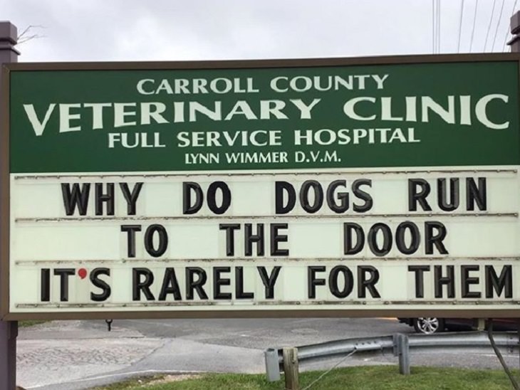More hilarious joke, funny lines and clever anecdotes and puns found on signs outside Veterinary clinics, why do dogs go to the door when its rarely for them