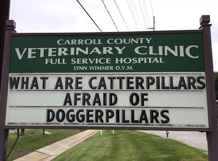 More hilarious joke, funny lines and clever anecdotes and puns found on signs outside Veterinary clinics, catterpillars are afraid of doggerpillars