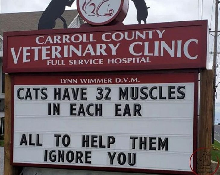 More hilarious joke, funny lines and clever anecdotes and puns found on signs outside Veterinary clinics, cats have 32 muscles in each ear used for ignoring you