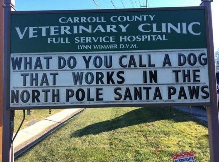 More hilarious joke, funny lines and clever anecdotes and puns found on signs outside Veterinary clinics, a dog in the north pole is called Santa Paws