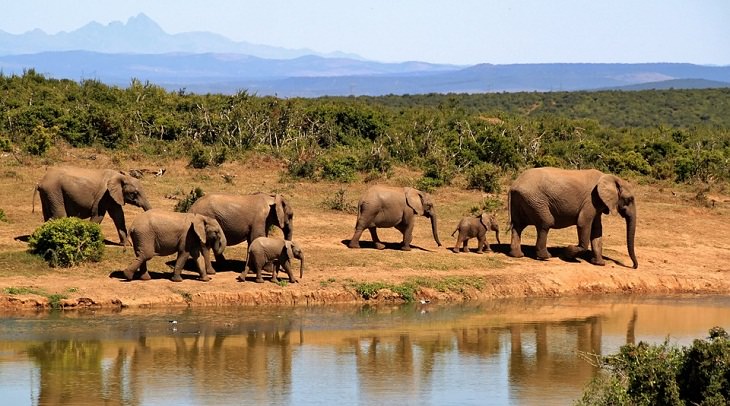 African national parks