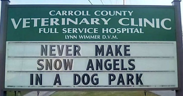 More hilarious joke, funny lines and clever anecdotes and puns found on signs outside Veterinary clinics, never make snow angels in a dog park