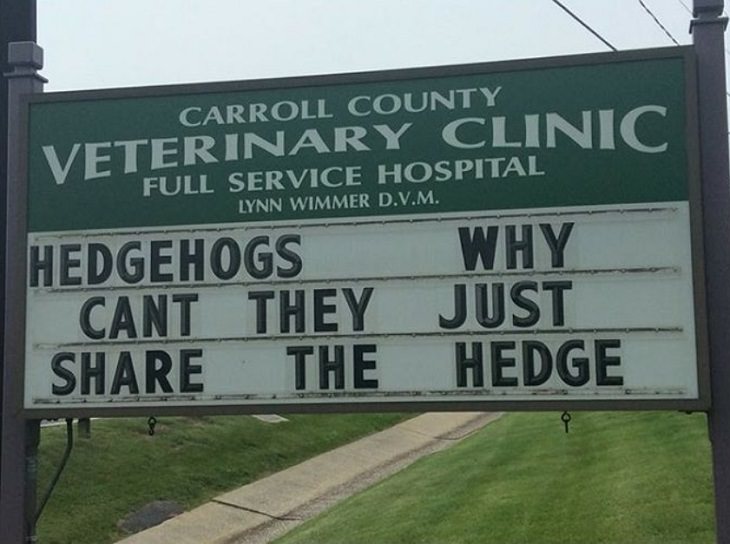 More hilarious joke, funny lines and clever anecdotes and puns found on signs outside Veterinary clinics, Why cant hedgehogs share the hedge