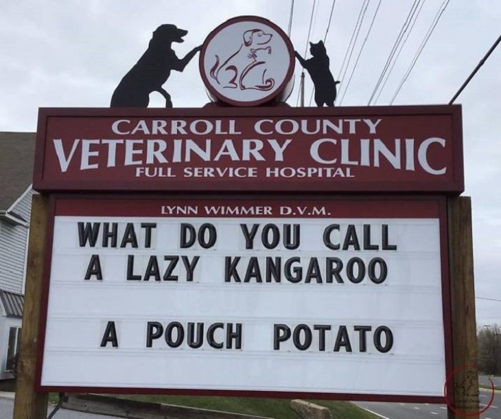 More hilarious joke, funny lines and clever anecdotes and puns found on signs outside Veterinary clinics, a lazy kangaroo is called a pouch potato