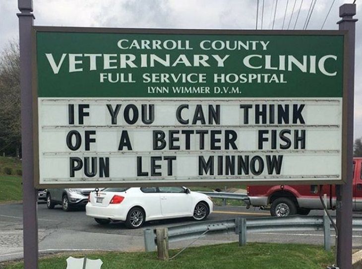 More hilarious joke, funny lines and clever anecdotes and puns found on signs outside Veterinary clinics, Fish pun