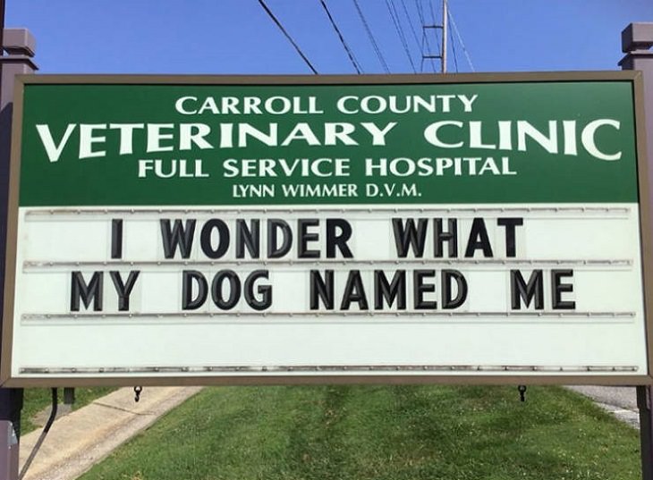 More hilarious joke, funny lines and clever anecdotes and puns found on signs outside Veterinary clinics, I wonder what my dog named me