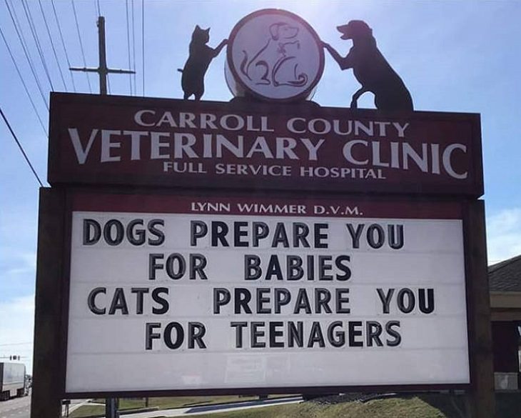 More hilarious joke, funny lines and clever anecdotes and puns found on signs outside Veterinary clinics, dogs are like babies and cats are like teenagers