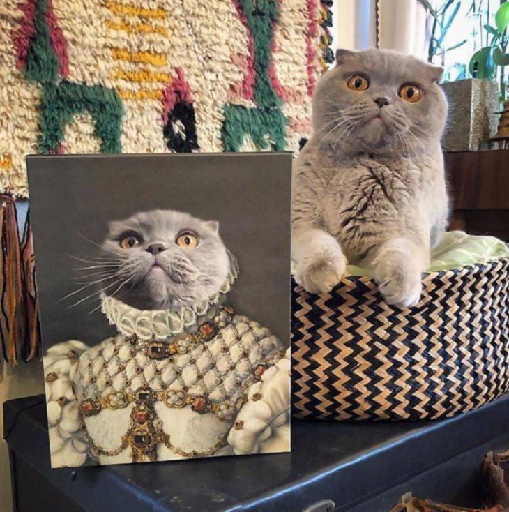 Beautiful and fantastical custom pet portraits from Crown & Paw depicting animals in a royal setting