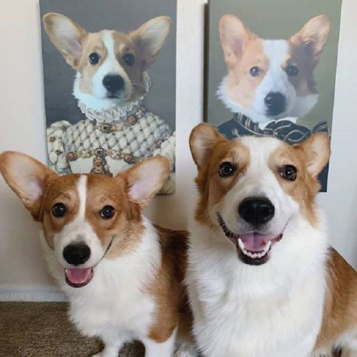 Beautiful and fantastical custom pet portraits from Crown & Paw depicting animals in a royal setting