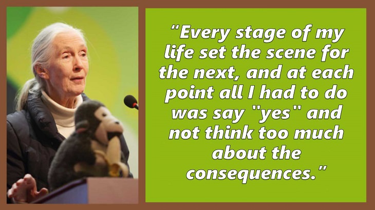Inspiring and uplifting quotes and words of wisdom from expert on primates, Jane Goodall, Every stage of my life set the scene for the next, and at each point all I had to do was say "yes" and not think too much about the consequences.