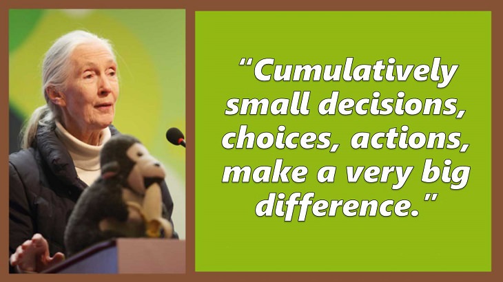Inspiring and uplifting quotes and words of wisdom from expert on primates, Jane Goodall, Cumulatively small decisions, choices, actions, make a very big difference.