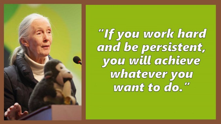 Inspiring and uplifting quotes and words of wisdom from expert on primates, Jane Goodall, If you work hard and be persistent, you will achieve whatever you want to do.