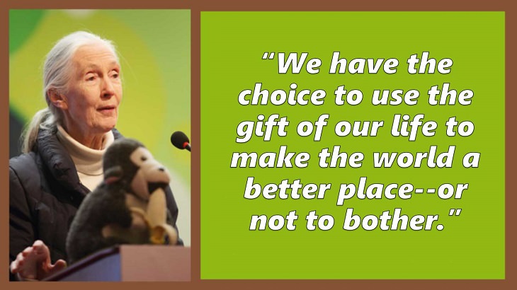 Inspiring and uplifting quotes and words of wisdom from expert on primates, Jane Goodall, We have the choice to use the gift of our life to make the world a better place--or not to bother.