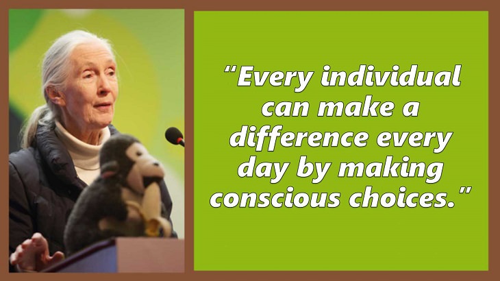 Inspiring and uplifting quotes and words of wisdom from expert on primates, Jane Goodall, Every individual can make a difference every day by making conscious choices.