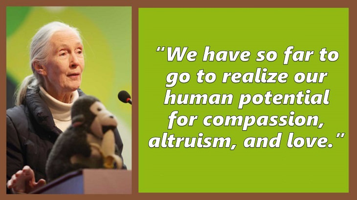 Inspiring and uplifting quotes and words of wisdom from expert on primates, Jane Goodall, We have so far to go to realize our human potential for compassion, altruism, and love.