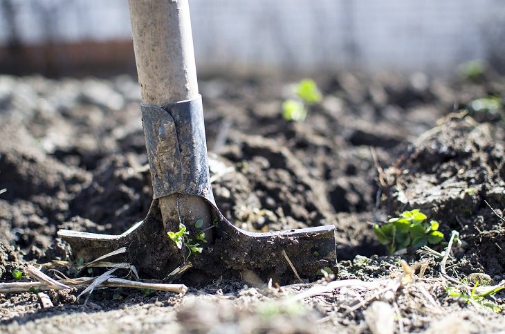 survival gardening, soil