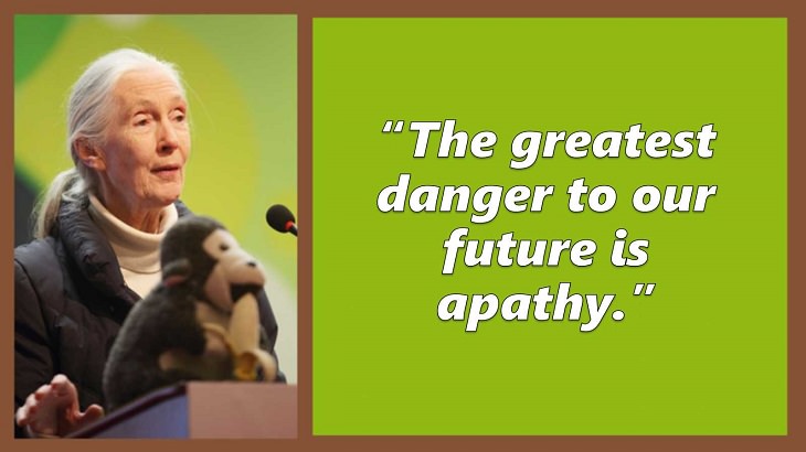 Inspiring and uplifting quotes and words of wisdom from expert on primates, Jane Goodall, The greatest danger to our future is apathy.
