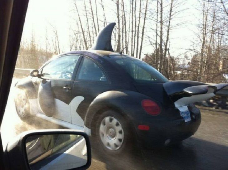 Cars with weird and strange appearances and unique features, volkswagon beetle car designed to look like a killer whale