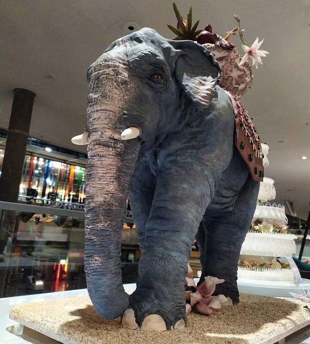 Interesting and creatively designed cakes that look too realistic to eat, extremely real, life-size fully edible elephant cake