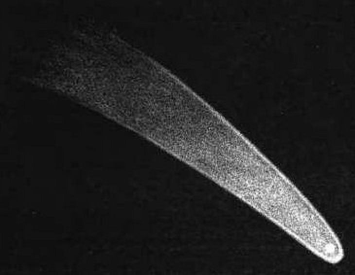 Comets that passed over earth in the last 5 centuries, The Great Comet of 1811, which remained visible from Earth for 260 days, officially designated C/1811 F1