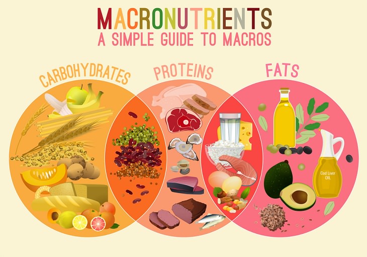 macronutrients portions, diet