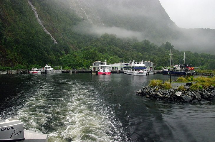Photographs of the beautiful sights, mountains, falls and wildlife in Milford Sound, also known as Piopiotahi, found in between the Te Waipounamu Heritage Site, the Fiordland National Park and the Piopiotahi Marine Reserve, New Zealand, The Docks at Milford Sound
