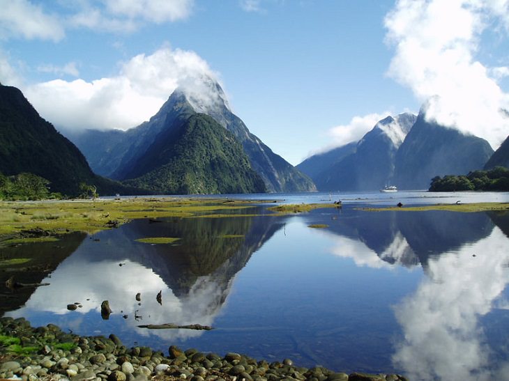 Photographs of the beautiful sights, mountains, falls and wildlife in Milford Sound, also known as Piopiotahi, found in between the Te Waipounamu Heritage Site, the Fiordland National Park and the Piopiotahi Marine Reserve, New Zealand, On the shores of a lake in Milford Sound