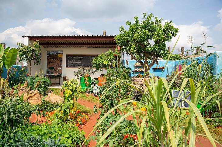 Winning Entries in the 2019 RHS Chelsea Flower Show and Garden Show in London, Space to Grow Gardens, Giving Girls in Africa a Space to Grow by Jilayne Rickards, sponsored by Campaign for Female Education (CAMFED)