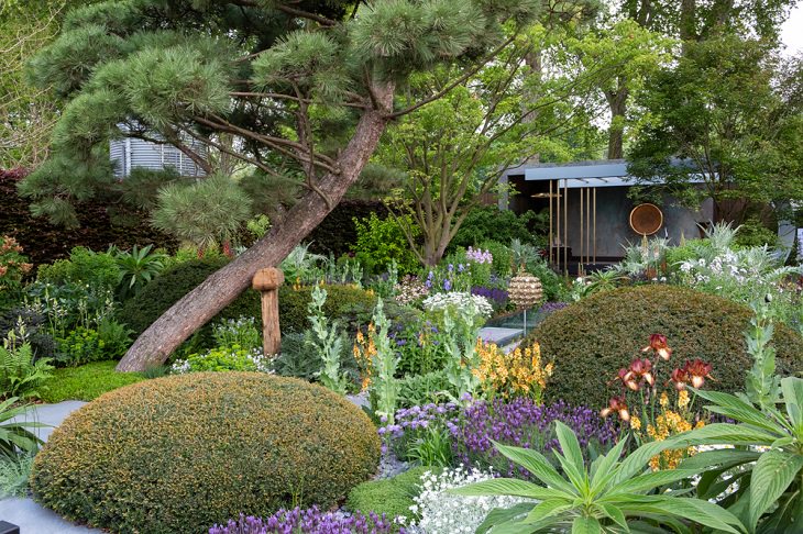 Winning Entries in the 2019 RHS Chelsea Flower Show and Garden Show in London, Show Gardens, The Morgan Stanley Garden by Chris Beardshaw, designed to have a light environmental footprint
