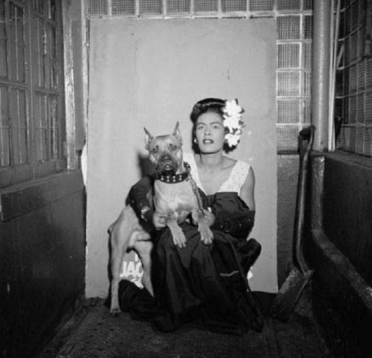 Historic photographs, A portrait of Portrait of Billie Holiday and Mister taken in New York in 1947