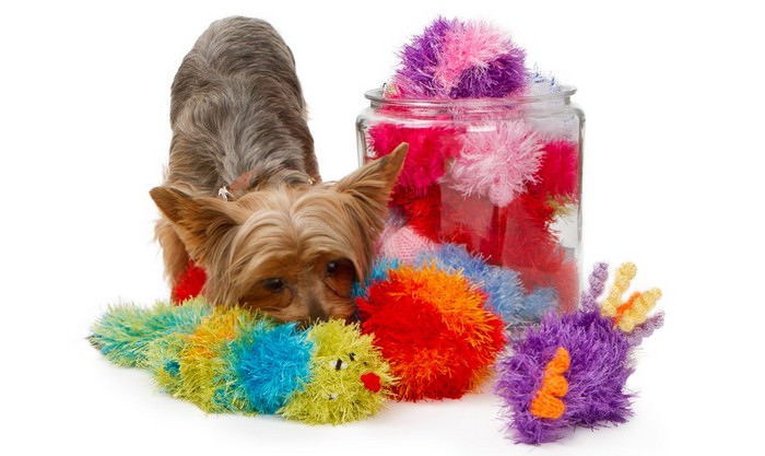 pet toys and dog