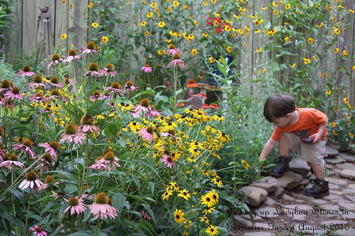 Beautiful winner and runner up entries of the Garden for Wildlife Photo Contest 2019, which show the meeting of nature, wildlife, people, plants and habitats in different settings, People In The Wildlife Garden, Winner, Child in Garden, By Sherry Schellenger Parker from Fairfax, Virginia