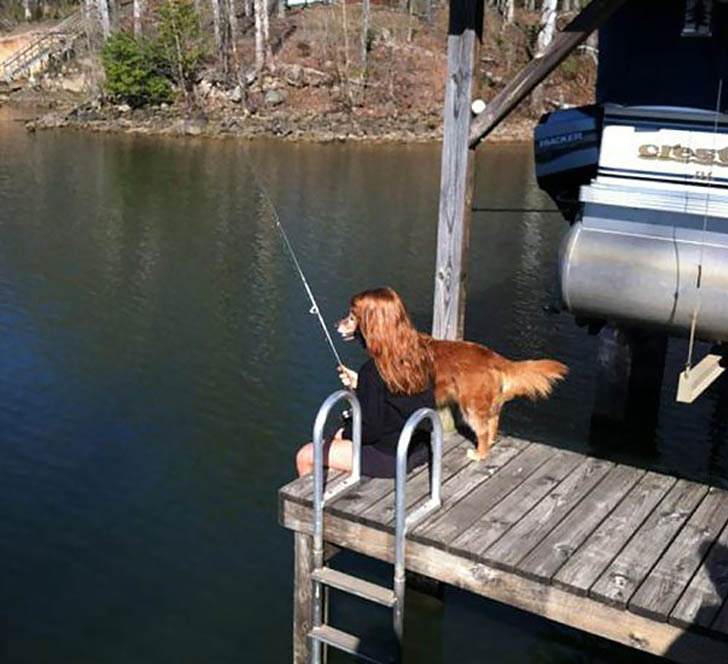 Hilarious, funny, perfectly timed dog moments caught on camera in photographs