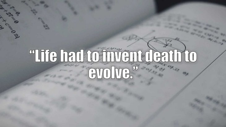 Inspirational and philosophical quotes and words of wisdom from renowned scientist, Freeman Dyson, author of The Scientist As a Rebel, “Life had to invent death to evolve.”