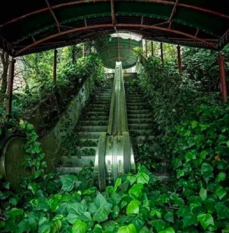 Photographs showing greenery, flowers, plants and trees growing over man-made objects, depicting times when nature won the battle against civilization, escalator covered in plants